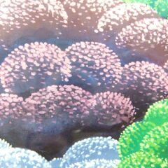 アート額絵 竹内 凛子 Rinco 湖畔早春 額サイズ 約52cm×約42cm 中古 札幌市厚別区 厚別店の画像