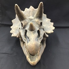 ⭐︎値下げしました⭐︎インテリア雑貨　オブジェ　恐竜の頭蓋骨の化石の画像