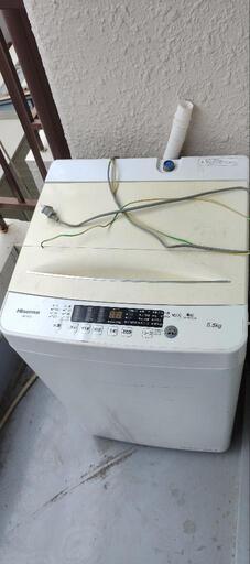 家電 生活家電 洗濯機