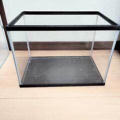 ①水槽　熱帯魚　金魚　めだか　アクアリウム