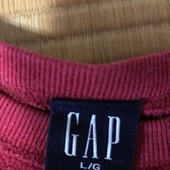 GAP トレーナー NASAの画像