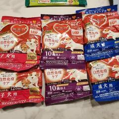 ワンコ　シャンプー　ちゅーる　カリカリなど　ダックスの画像