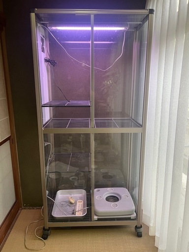 【GO-205】園芸 花 観葉植物 ガラスケース ショーケース ケージ 温室