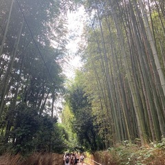 言語交換と友達募集　台湾↔︎日本　