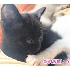 ありがとうございました🐈‍⬛🍠