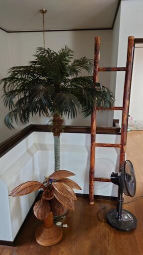 竹製はしご　照明　インテリア植物