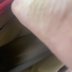 エピ調のトートバッグレディースの画像