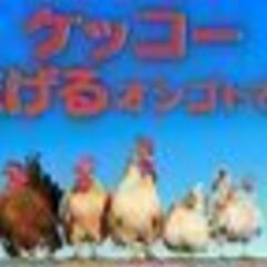 "急募"【寮費が無料】建設機器の製造スタッフ