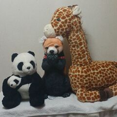 値下げ、親子パンダ&レッサーパンダ&特大きりんぬいぐるみ