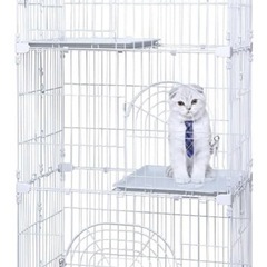 猫　ケージ