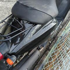 商談中　ホンダ・トゥデイ　AF61の画像