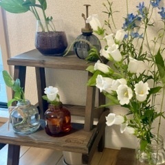 木製2段ミニステップ