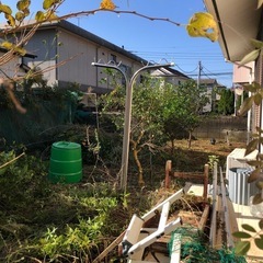 草刈り　剪定　伐採