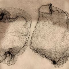 Chacott/シニヨン用品の画像