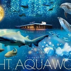 水族館好きな方✨