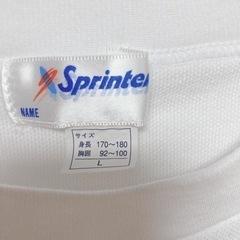 服/ファッション Tシャツ の画像