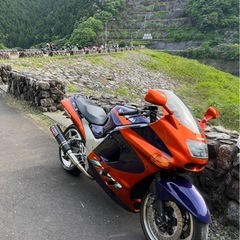 zzr1100カブキカラー