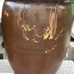 カメ　メダカ　入れ