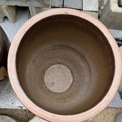 カメ　メダカ　入れの画像