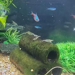 お話中