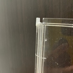 すぐにお迎えできる飼育セットの画像