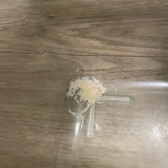 すぐにお迎えできる飼育セットの画像