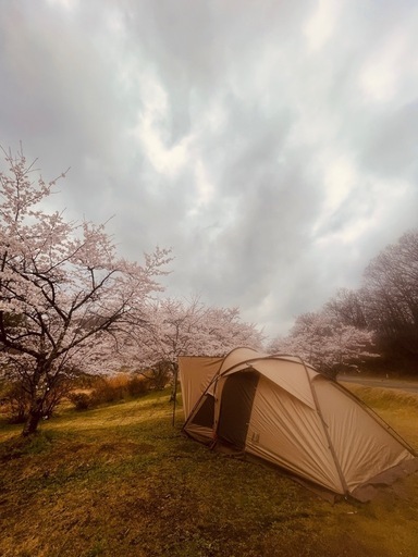 Ogawaのヴィガス２