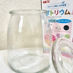 🐠未使用品🐠GEX🐟ボトリウム🐟ミルキィラブの画像