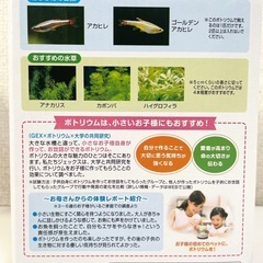 🐠未使用品🐠GEX🐟ボトリウム🐟ミルキィラブの画像