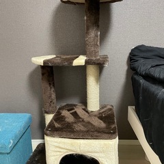 キャットタワー子猫用
