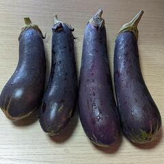 [無農薬]　なす🍆　4本