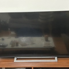 REGZA TOSHIBA 50V型
