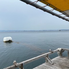 水曜朝からか火曜の夜限定になりますが、一緒に海釣り行ける方募集です
