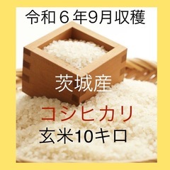 茨城県 つくば市の30キロの中古が安い！激安で譲ります・無料であげます｜ジモティー