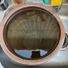 カメ　メダカ　入れの画像