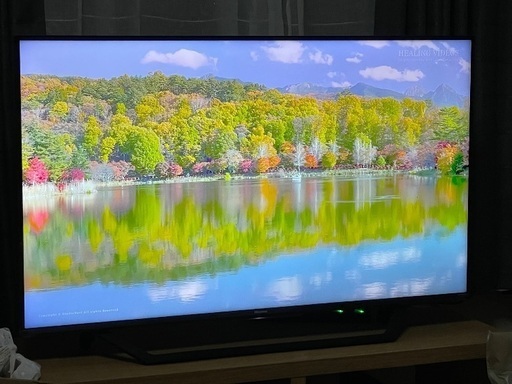 9/28 22時に瀬谷で　新品同様　Hisense 43インチ4Kテレビ　43U7F