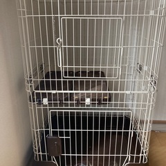 決定)猫ゲージ　キャットゲージ