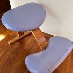 バランスチェア　イージー　リボ社の画像