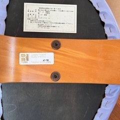 バランスチェア　イージー　リボ社の画像