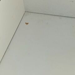 IKEA ベストー ブルシュの画像