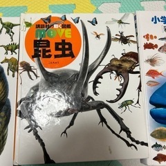 図鑑　決まりましたの画像