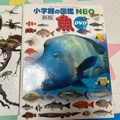 図鑑　決まりましたの画像