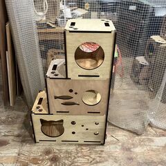 猫 猫箱 木製BOX 組み立て式 ねじ不要 3点セット ラワン ...