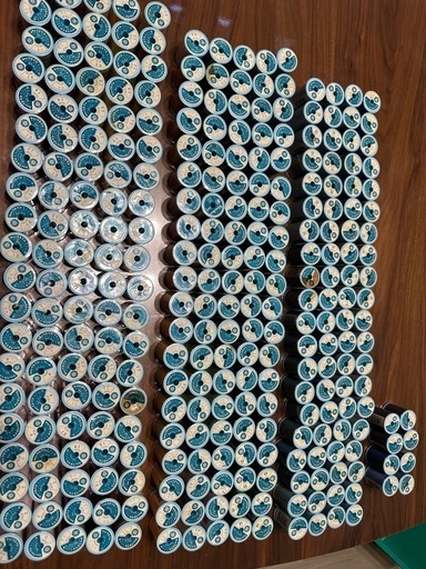 シャッペスパン　288個