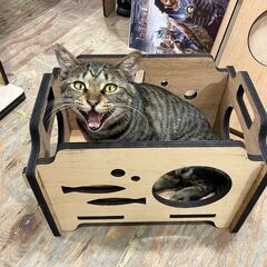 猫ボックス 道具箱 コンテナ 試作 ネジ不要 DIY 組み立て箱の画像