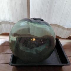 【10/12AM受け取りまで】ガラス製浮き球の画像