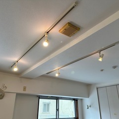 オーデリックダクトレール用スポット照明差し上げます。
