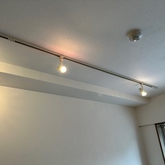オーデリックダクトレール用スポット照明差し上げます。の画像