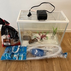 メダカや金魚飼育セット