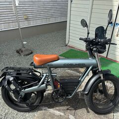 （県内受取限定）coswheelコスウェル  mirai  10...